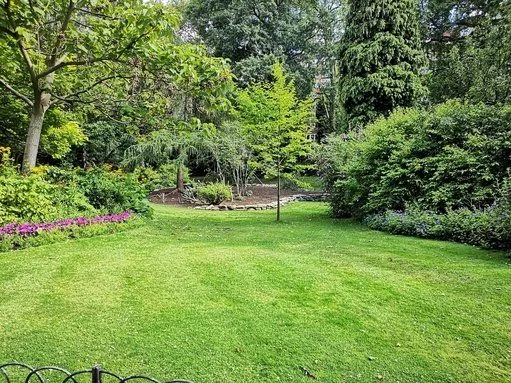 Lush lawn & beds — Chandler, AZ